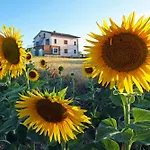 La Collina Del Girasole Feriehus