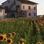 Ferienhaus La Collina Del Girasole Montecastrilli