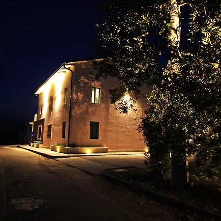 La Collina Del Girasole