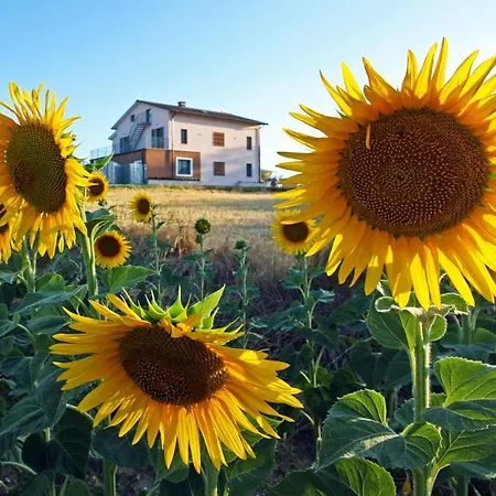 La Collina Del Girasole Casa vacanze