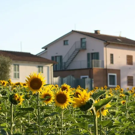 Casa vacanze La Collina Del Girasole