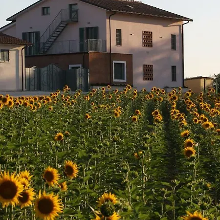 Casa vacanze La Collina Del Girasole Montecastrilli